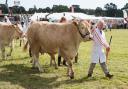 The Dorset County Show is back for 2022. Picture: Helen Jones