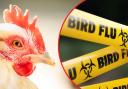 Bird flu has been confirmed at a second site in Devon