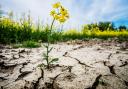 It was the driest ever July for Dorset