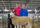 The top priced - Lluest Ram from E & D Jones at 2,800gns