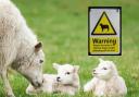Under the Dogs (Protection of Livestock) Act 1953, it is a criminal offence for a dog to actively worry livestock