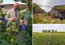 King Charles III (then the Prince of Wales) at the Duchy of Cornwall Nursery, with wildflowers at Stonehenge and Tintagel Castle