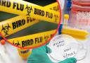 Bird flu has been confirmed in tow poultry workers