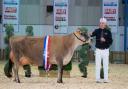 A winning entry at the Dairy show