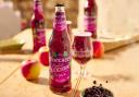 Thatchers Apple and Blackcurrant Cider. Picture: Thatchers Cider
