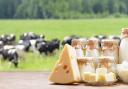 Dairy products, with cows in the background.