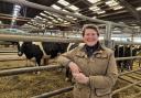 Sarah Dyke MP in a cattle shed.