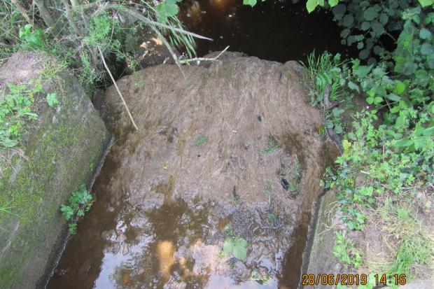 South West Farmer: Gross sewage fungus growth downstream of the discharge. Picture: Environment Agency