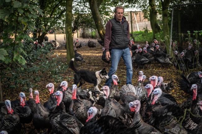 Steve Childerhouse with the dogs and turkeys Picture: SWNS