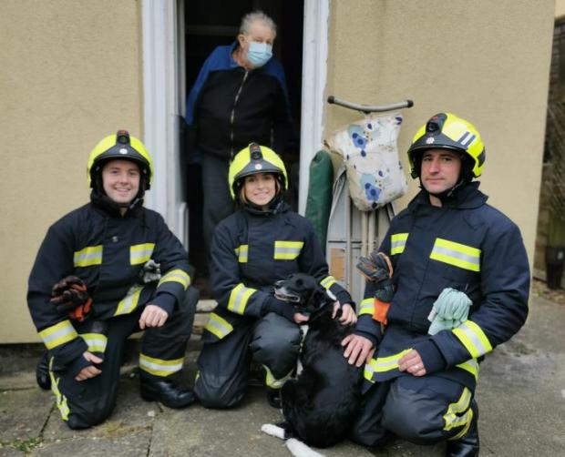 South West Farmer: Firefighters Ryan Luffman and Elsie Emery with Crew Manager John Wenglorz with Mr Green and Chi Chi