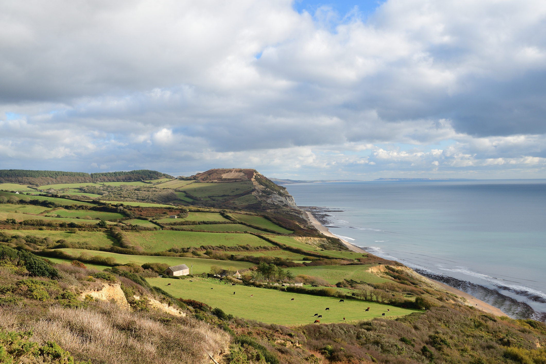 Farmland around Golden Cap in Dorset