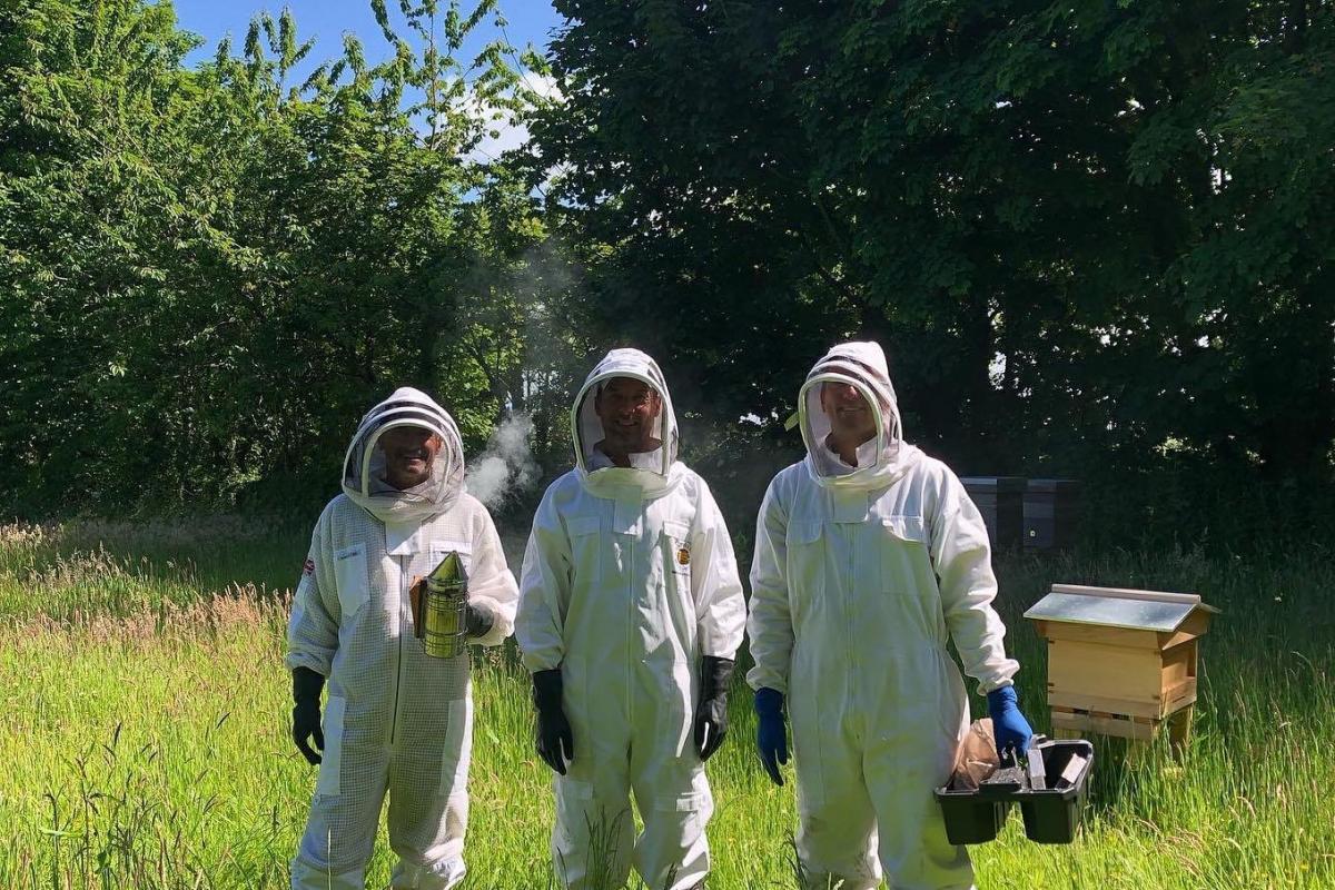 The hives were stolen from a field near Newquay. Picture Katie Barnes/Facebook
