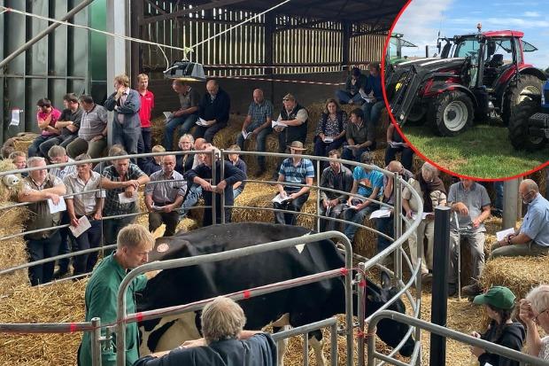 Crowds gather for the on farm sale at Crewkerne