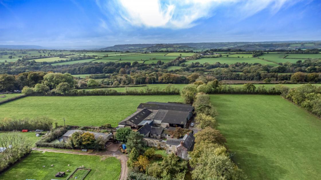 Livestock and arable farm for sale in Blackdown Hills 