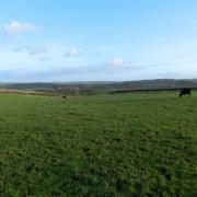 Land for sale close to Lapford Village between the A377 and the B3220