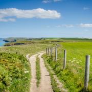 Clifftop Path along the North Coast of Cornwall near Newquay