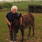 Judy with donkey Pixie