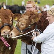 The Grand Parade at the Devon County Show