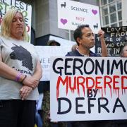 Helen Macdonald, owner of Geronimo the alpaca, along with members of the Justice for Geronimo and Stop Badger Cull campaigns hold a protest outside the Defra offices