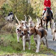 Trail hunting in Cornwall has been debated by councillors