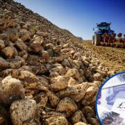 Payments for 2022/2023 sugar beet contracts have been confirmed