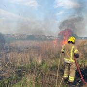 Fire tackled at Lodmoor reserve, Weymouth Picture: Dorset & Wiltshire Fire and Rescue Service