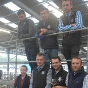 The young farmers drew 'tremendous trade' said auctioneers Kivells