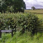 The paddock is off Rookery Lane in Newland. Picture: Google Maps