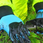 Black sludge which coated the River Inny for three miles in the summer of 2018. Picture: Environment Agency