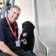 Martyn Bolt with Fire Investigation Dog Jet. Picture: Avon Fire & Rescue Service