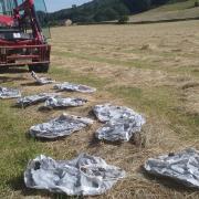 The sky lanterns found in a field of hay near Leeds this morning
