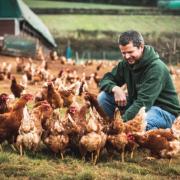 Jeremy Saunders with his free-ranging hens which are temporarily housed