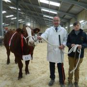 The Helston Fatstock Show is set to return next month