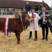 Supreme Champion – Percy Clatworthy, Mr Phil David (Judge) and Mike Butler of sponsors PKF Francis Clark