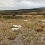 Trampling of the habitat left the SSSI in an 'Unfavourable Condition'