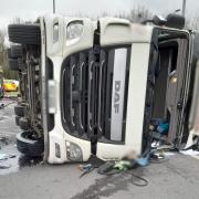 The overturned livestock transport lorry