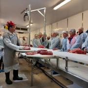 Kepak Bodmin supplies prime cuts of meat across the UK, currently processes around 4,000 South Devon and South Devon Cross cattle each year