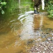 The River Creedy in Crediton was one location where harmful chemicals from South West Water damaged the environment