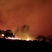The wildfire on Godlingston Heath near Studland in November 2021
