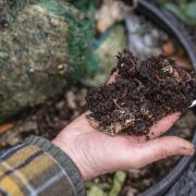 Peat based soil