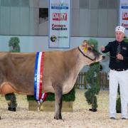 A winning entry at the Dairy show