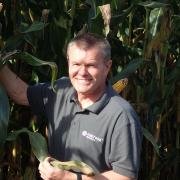 Andy Stainthorpe with maize