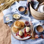 Clotted cream puts Cornish farmers on top