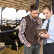 Farm advisor with farmer. Stock Image.