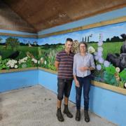 The new mural at Maundrils Farm in West Huntspill.