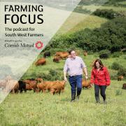 Podcast host Peter Green on his farm in Cornwall.