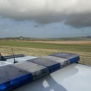 Suspected hare coursing in Calne