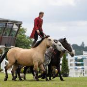 Ben Atkinson and his magnificent troupe of Atkinson Action Horses.
