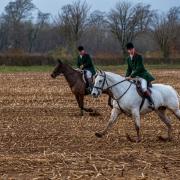 The Fernie Hunt at the trail laying demonstration day in Leicester last October.