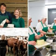 The Cornish dairy has been awarded The Kings Award
